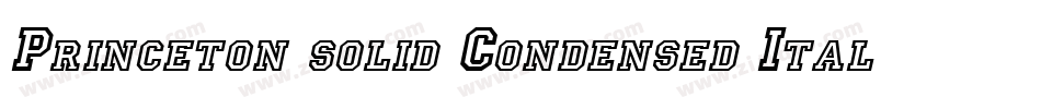 Princeton solid Condensed Italic字体转换